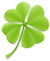 Small Shamrock